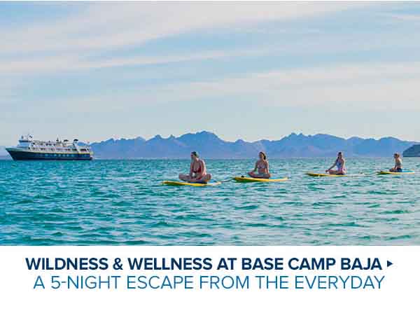 WILDNESS & WELLNESS AT BASE CAMP BAJA > A 5-Night Escape From the Everyday
