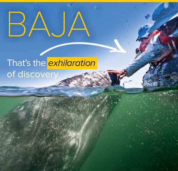 Baja - That's the Exhilaration of Discovery