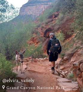 Instagram Photo by @elvira_yanely at Grand Canyon National Park