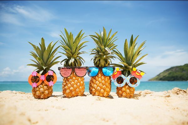 Four pineapples wearing sunglasses on beach.