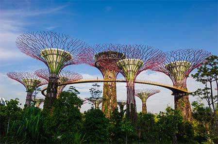 Singapore's Gardens by the Bay