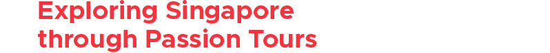 Exploring Singapore through Passion Tours