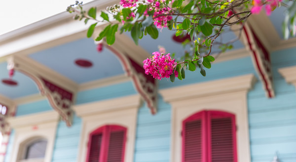 Spring in New Orleans