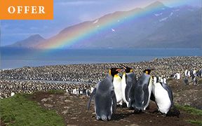 Antarctica, South Georgia & the Falkland Islands