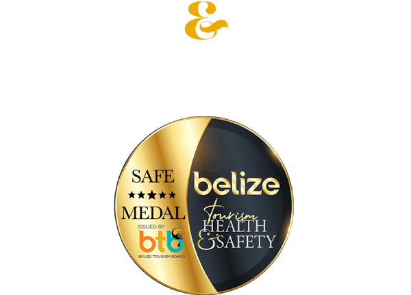 Health & Safety Is Our Highest Priority