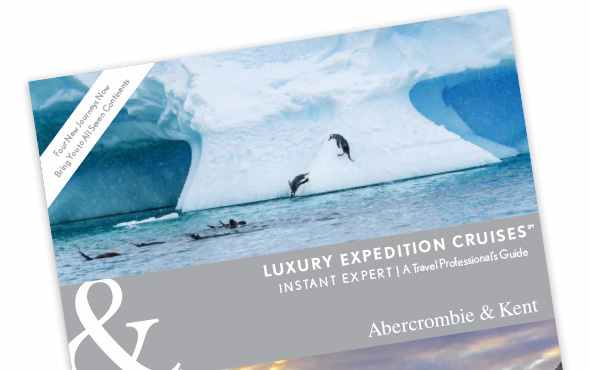 Download Our Instant Expert Guide