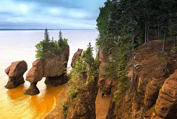 North American East Coast Journey to Metropolises & Maritimes