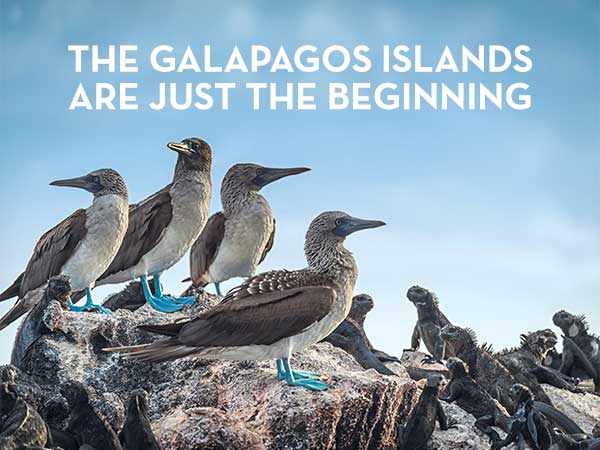 THE GALAPAGOS ISLANDS ARE JUST THE BEGININNING