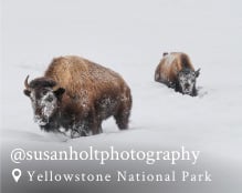 Instagram Photo by @susanholtphotography at Yellowstone National Park