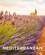 Mediterranean