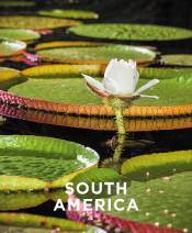 South America