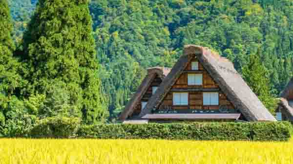 village house in a field