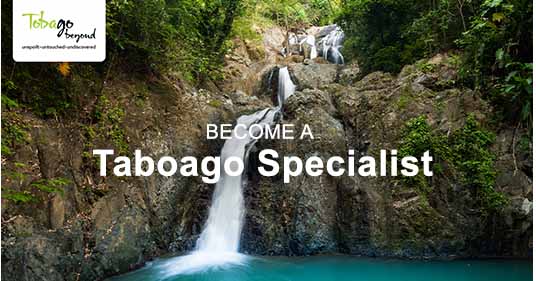 Become a Tobago Specialist