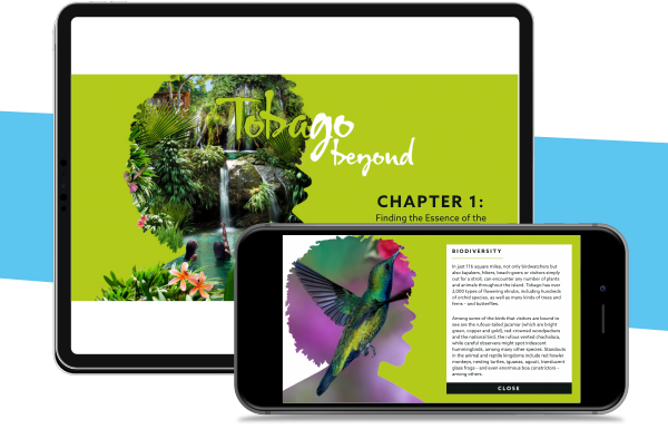 Become a Tobago specialist