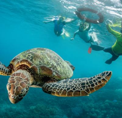 great-barrier-reef-1