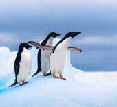 Antarctica