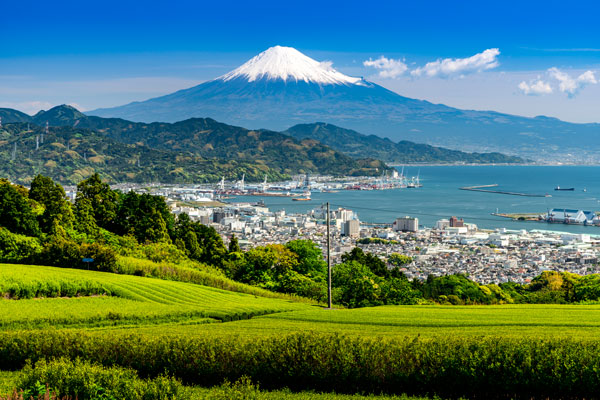 Mt Fuji Nihondaira