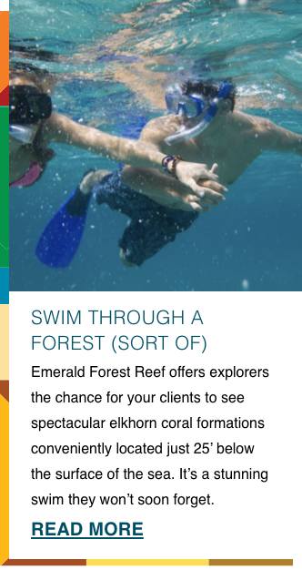 Swim Through a Forest (Sort of)