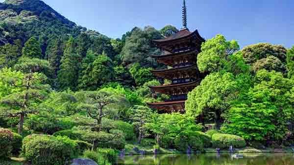 pagoda surrounded by forest